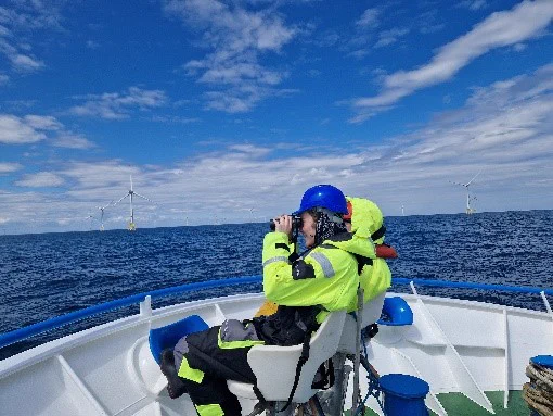 The image shows a scientist sitting on a boat wearing hi-vis and a blue safety helmet. They are looking out to sea with binoculars. In the background are some wind turbines and the sea. 