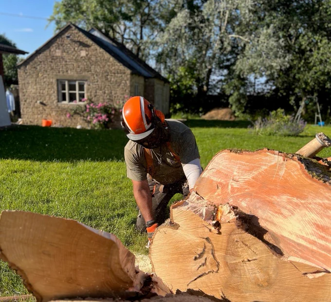 Successful fund applicant carrying out chainsaw work.