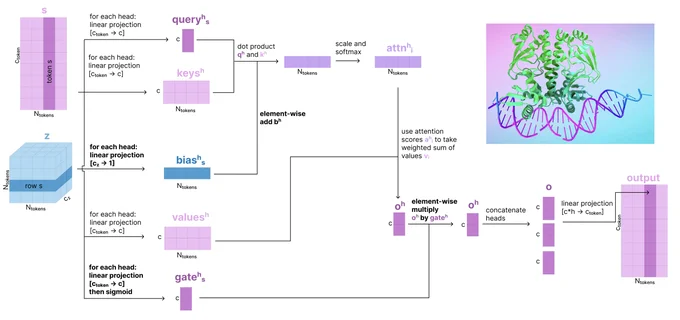 Example diagram from The Illustrated AlphaFold visualizing the matrix operations involved in Attention with Pair Bias