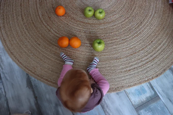 
Photo 2: First steps into the world of numerosity: a baby thoughtfully observing sets of different objects. Photo: Peter Lengyel-Szabo 
