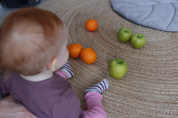 First steps into the world of numerosity: a baby thoughtfully observing sets of different objects. Photo: Peter Lengyel-Szabo 