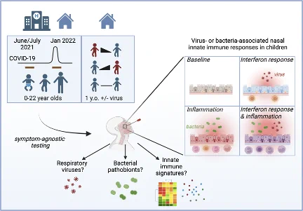 Graphical abstract