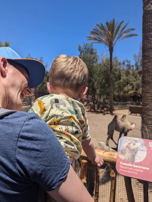 Jordan and Teddy Barrett look at the camels at a nature reserve in Spain. Jordan smiles at the camera.