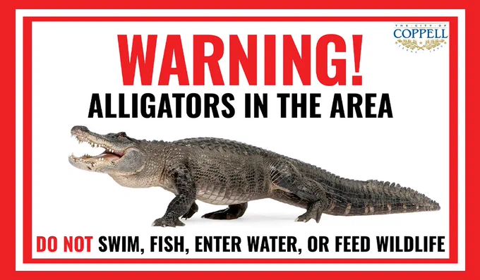 An image of an alligator with text that reads, "Warning! Alligators in the area. Do not swim, fish, enter water, or feed wildlife.".