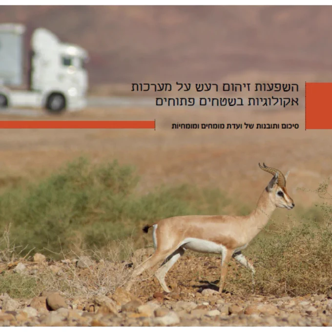 Photo by Doron Nissim