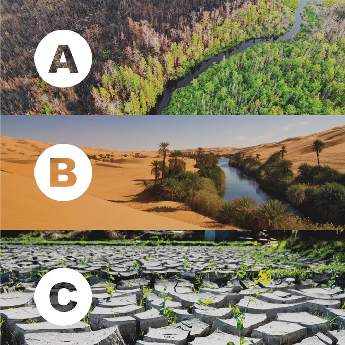 A: Aerial view of a river with green trees along its banks that transitions into dark brown trees. B: Sandy desert landscape featuring a small oasis with palm trees and a narrow water stream. C: Gray dry field with plants growing between the cracks.