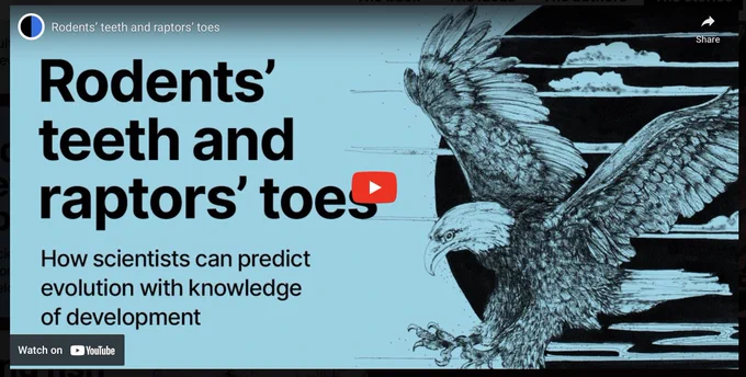 Screenshot of video