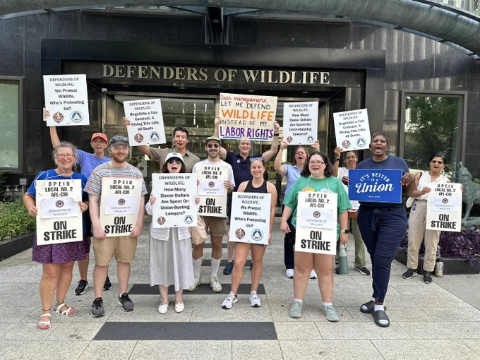 Defenders of Wildlife DC-based staff and allies picket in front of the organizations HQ in July 10th.