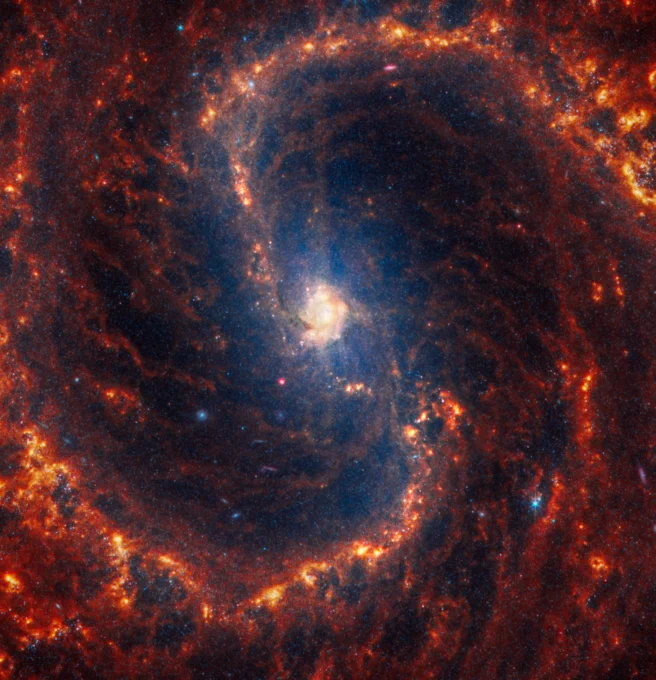 Webb’s image of NGC 4535 shows a densely populated face-on barred spiral galaxy anchored by a small central region with a light orange haze. Toward the center, the bar structure is filled with a blue haze of stars that forms a roughly vertical oval shape. Filaments of glowing dust cross the bar and are connected to two prominent spiral arms made of stars, gas, and dust. These structures start at the center, creating line-like arcs that form an overall elongated S shape. The spiral arms rotate clockwise and are largely orange, ranging from dark to bright orange, brightest at the edges. Scattered across the packed scene are some additional bright blue pinpoints of light, which are stars and star clusters spread throughout the galaxy. In the darker areas, it’s easier to spot brighter larger pinpoints of light. Some of these are blue and some are pink. A few appear more like ovals at the edges.
