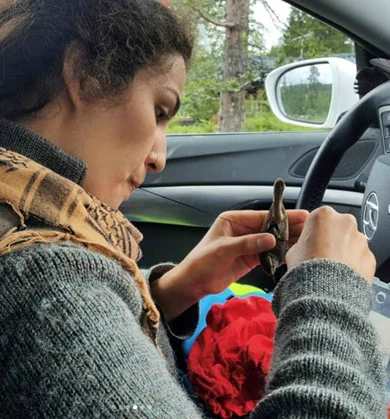 Process of geolocator attachment to a willow warbler in Sweden (Spring 2018; Photo by Kristaps Sokolovskis).