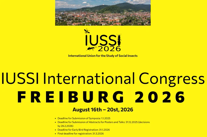 International IUSSI 2026 August 16-20