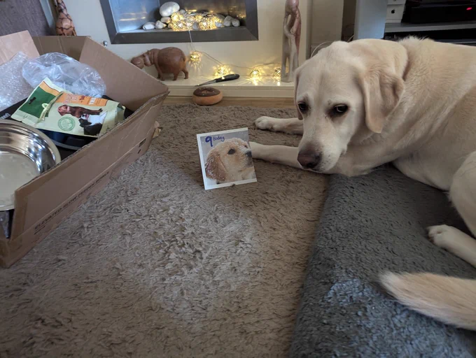 Uri with card and gifts 