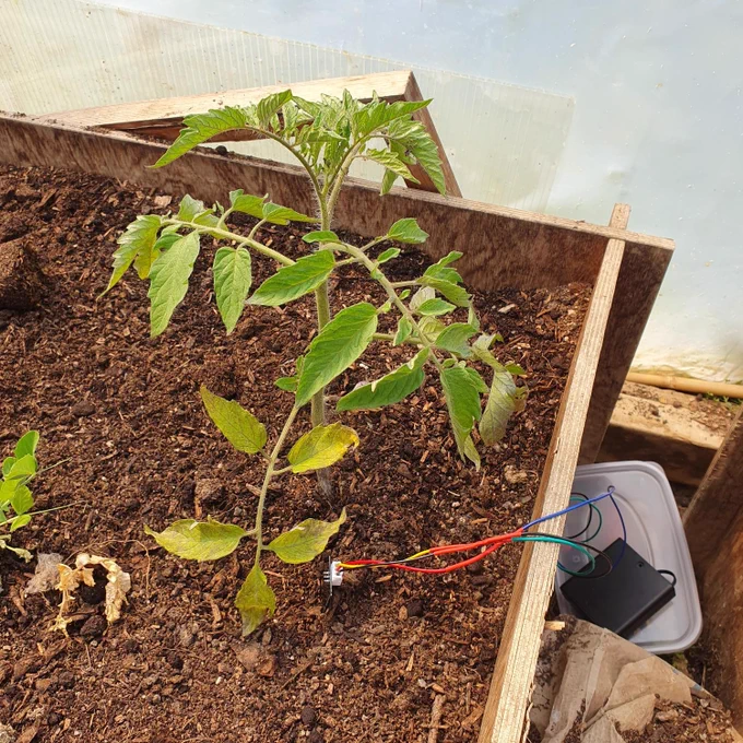 Plants were grown and monitored under different conditions in the scientific experiments that the schools designed.