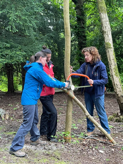 using tools in the woods