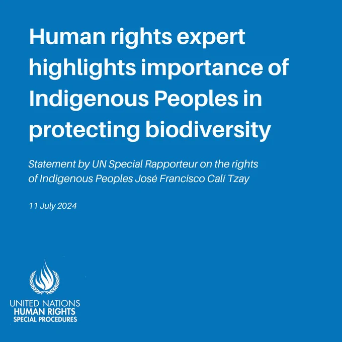 Blue image with quote from  UN Special Rapporteur on the rights of Indigenous Peoples, José Francisco Calí Tzay