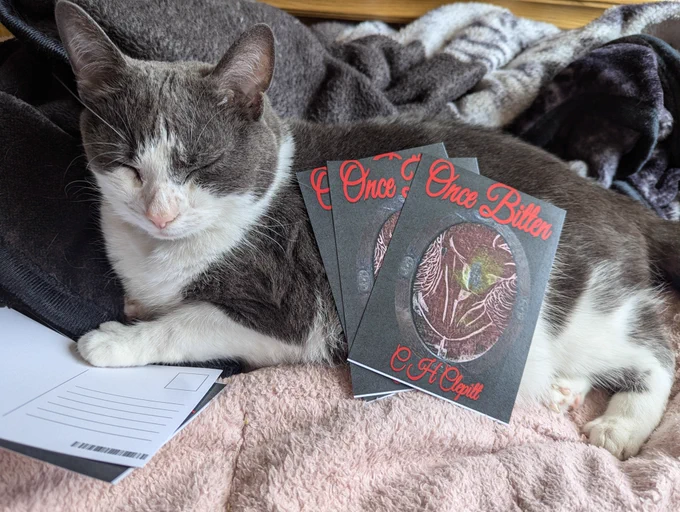 Cass modelling some postcards with Once Bitten cover on them.