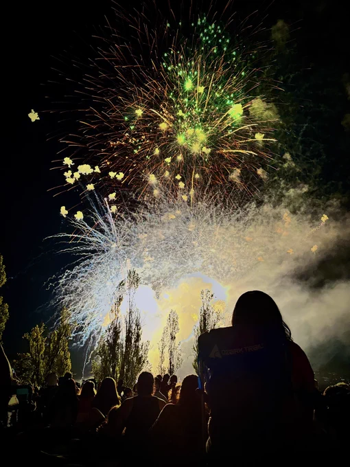 Mercer Island Summer Celebration