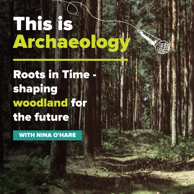 A forest with tall trees, text overlaid reads 'This is Archaeology. Roots in time -shaping woodland for the future'. 