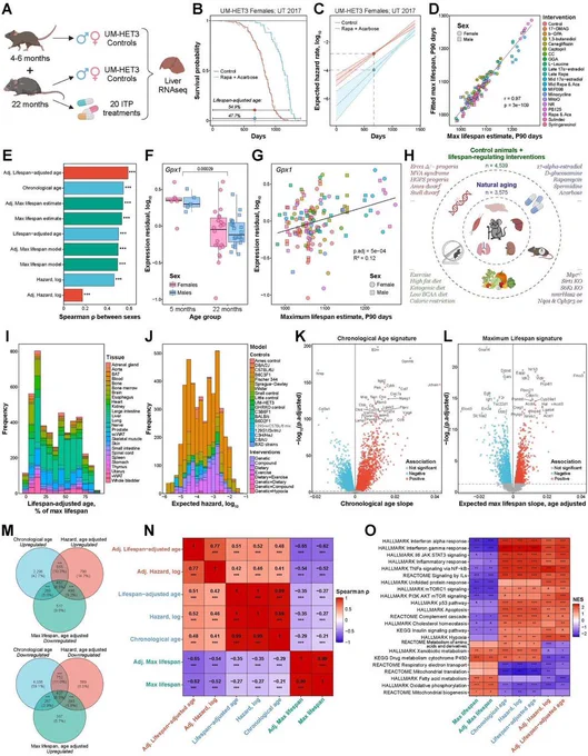 Gene expression signatures reflect molecular mechanisms of mammalian aging, maximum lifespan, and mortality. For more detailed information, visit the link to the pre-print at the end of this thread.