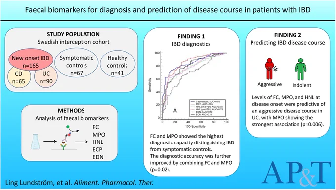 The diagnostic and predictive capability of a number of faecal biomarkers were analysed using a study design including a cohort of new-onset treatment-naive IBD patients and symptomatic controls. The neutrophil proteins myeloperoxidase (MPO) and calprotectin (FC) displayed comparable diagnostic capacities as single markers. Combining FC and MPO resulted in improved diagnostics, indicating that MPO alone or combined with FC may add to the diagnostic power of faecal biomarkers. High values of neutrophil markers FC, MPO and human neutrophil lipocalin (HNL) at diagnosis were predictive of an aggressive disease course in patients with UC, information that can be of value when stratifying new-onset IBD patients.