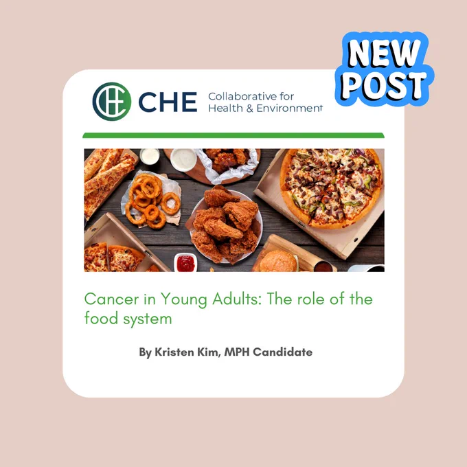 Title of blog, CHE logo and lead image of various fast foods