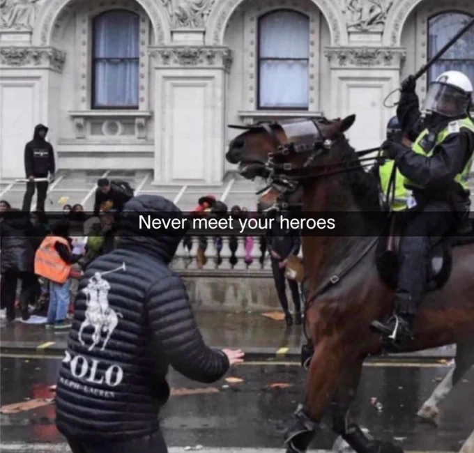 Picture of a riot or demonstration. Mounted police officers on their horses to the right. Man with hooded top on the left. 
Picture on the polo hooded jacket is a polo player raising their polo stick thing. Which looks a lot like the mounted police officer raising his baton above his head. 
Don’t fuck with police horses. 