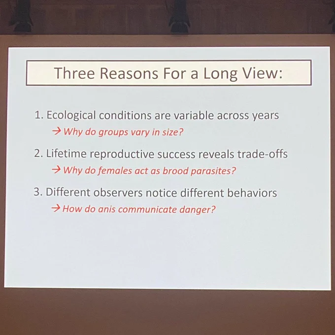 Slide reading “Three Reasons For a Long View:
1.	   Ecological conditions are variable across years → Why do groups vary in size?
2.	   Lifetime reproductive success reveals trade-offs → Why do females act as brood parasites?
3.	   Different observers notice different behaviors → How do anis communicate danger?”
