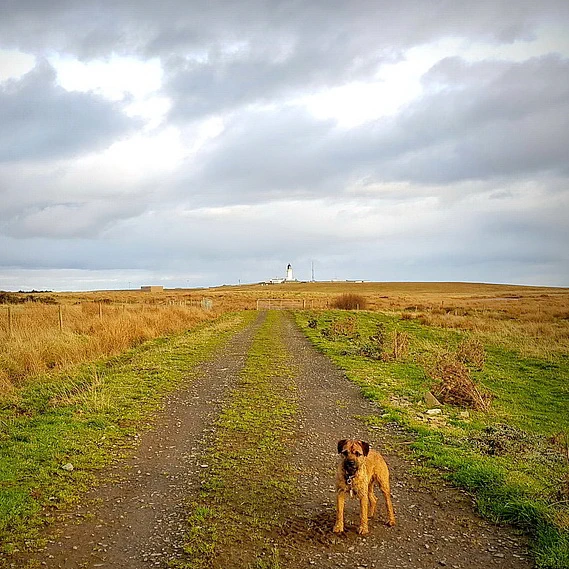 Gibbs on the way to the Lighthouse