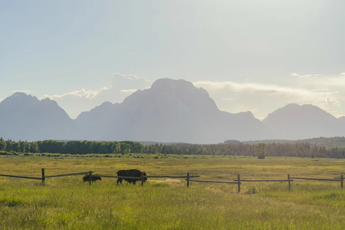 Photo by Mick Kirchman on Unsplash.