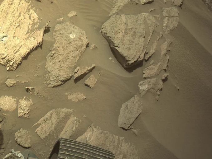 Both abrasion patches are visible here 