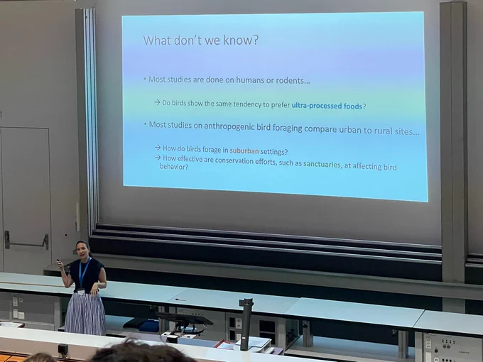What don't we know?
• Most studies are done on humans or rodents...
presentation slide text: 
Do birds show the same tendency to prefer ultra-processed foods?
Most studies on anthropogenic bird foraging compare urban to rural sites...
How do birds forage in suburban settings?
How effective are conservation efforts, such as sanctuaries, at affecting bird behavior?