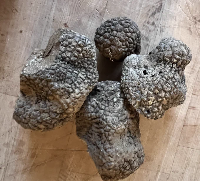 Four summer truffles on wooden chopping board.