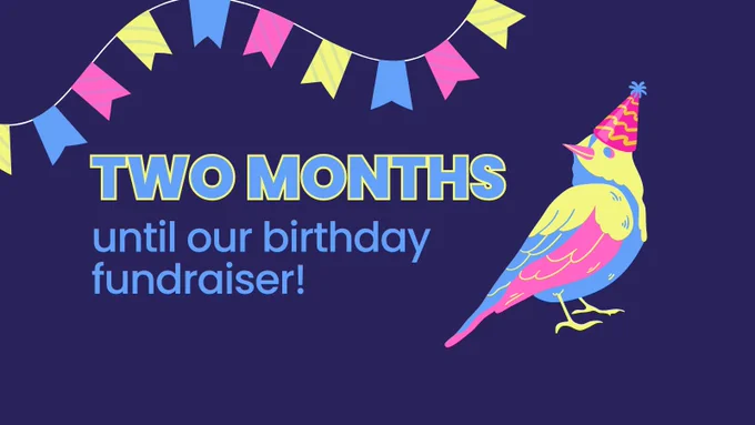 Light blue text on a dark blue background reads: "Two months until our birthday fundraiser!". To the right of the text is a colourful pink, yellow and blue illustration of a bird wearing a party hat. Above the text is party bunting in those same colours.