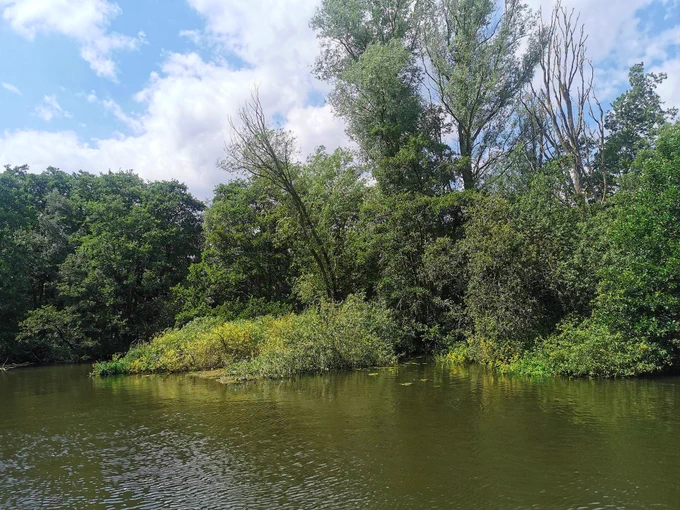 River Bure