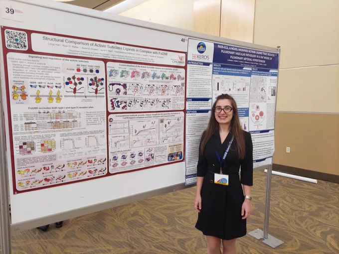 Lucija's poster "Structural comparison of Activin subclass ligands in complex with Fst288"
