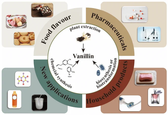  Vanillin production methods and applications