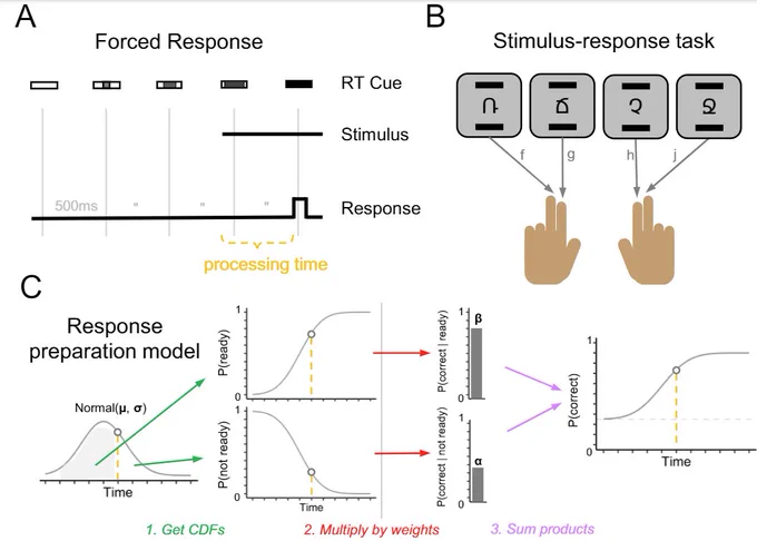 Schematic of the forced-response method, four AFC task, and computational model of response preparation