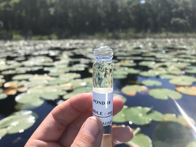 A person holds a small glass container labeled "POND 18" in focus, with a background of a serene pond covered in lily pads under a clear sky.