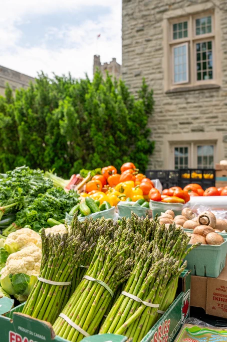 Vegetables on display