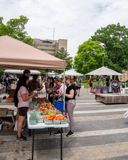 People shopping at the market