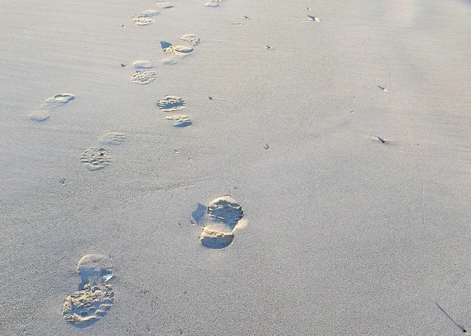 Footprints in sand