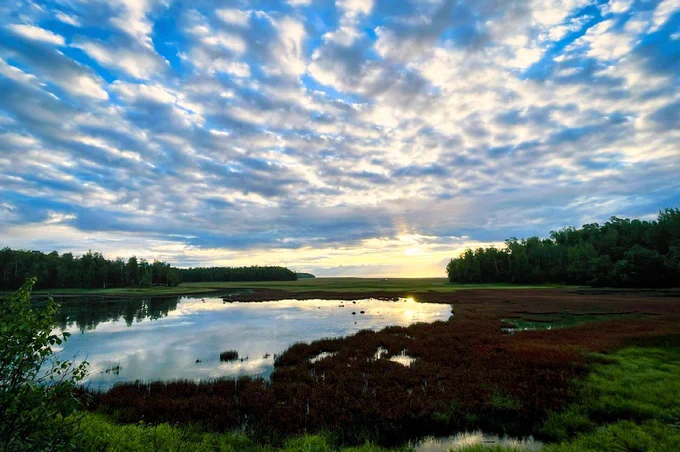 Calm waters await the arrival of the sun. Discover "Alaska Lake Sunrise"  print, which captures the beauty of the sunrise, clouds, and  reflections on the lake, highlighting the importance of the climate and wetlands.