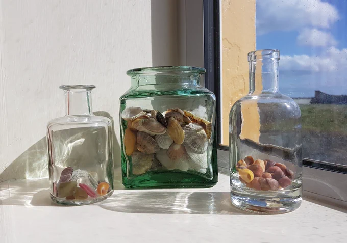 Sea shells in glass jars on a sunny windowsill