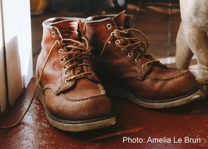 A pair of walking boots