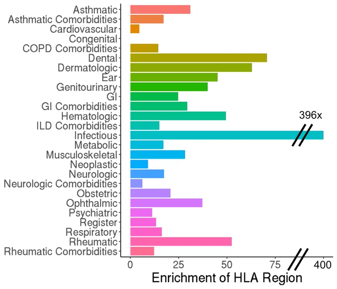 Bar plot showing enrichments in the HLA region by disease group