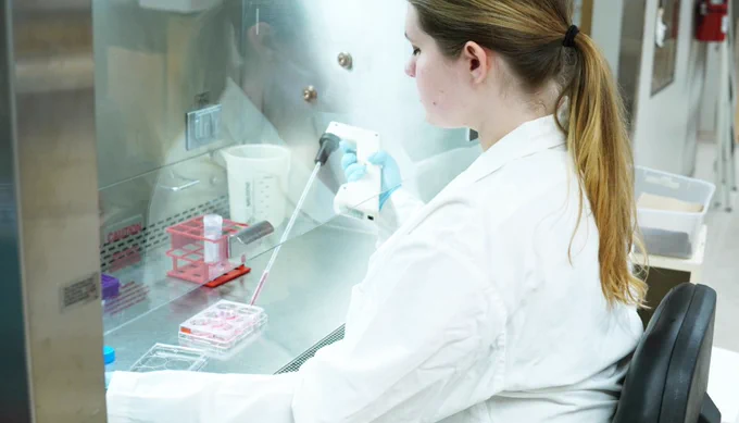 PhD candidate Marie Johns uses a pipette on a sample inside a biosafety cabinet.
