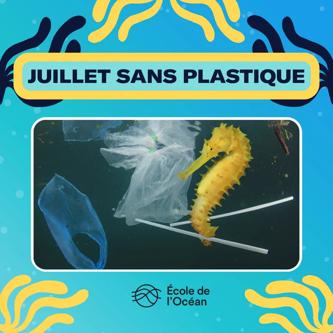 Hippocampe jaune dans une scène océanique. Le texte en haut de la photo se lit comme suit : "Juillet sans plastique". Le logo de l'École de l'Océan se trouve en bas. L'image est décorée de motifs abstraits roses et bleus.