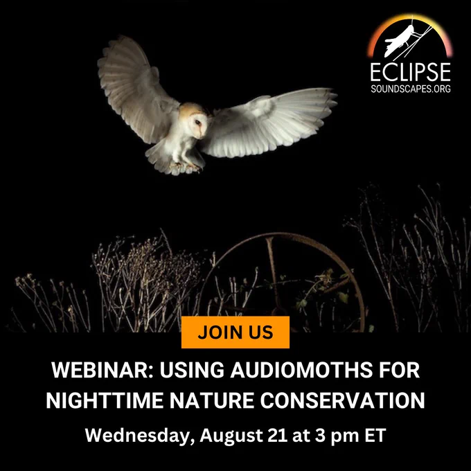 A barn owl flying over a field at night. Text reads: "Join Us, Webinar: Using AudioMoths for Nighttime Nature Conservation, Wednesday, August 21, at 3 pm ET."