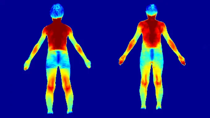Two heat maps of the back of a man's body