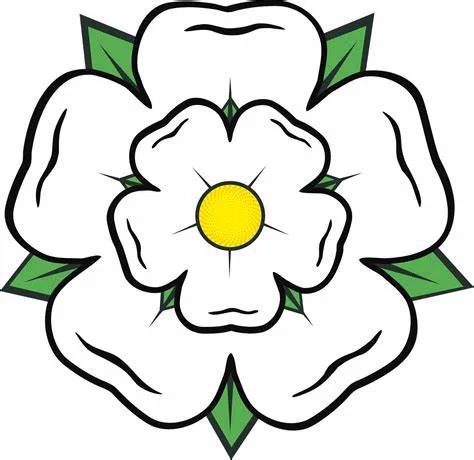 Illustration of the white rose of Yorkshire